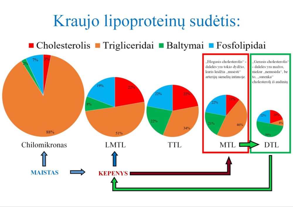 Kraujo lipoproteinų sudėtis