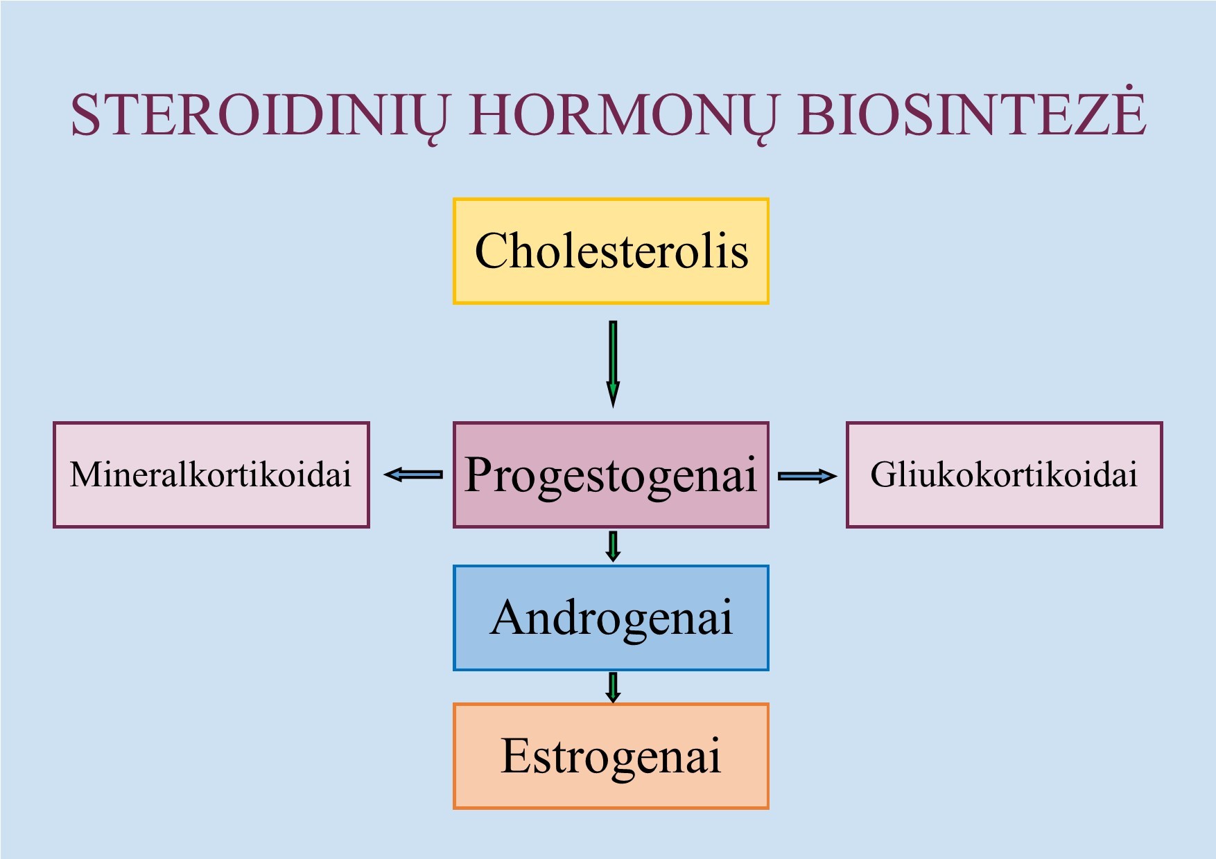 Steroidinių hormonų biosintezė