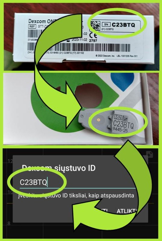 Dexcom transmiterio ID įvedimas