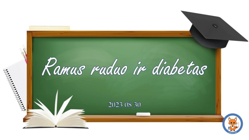 Seminaro "Ramus ruduo ir diabetas" iliustracija