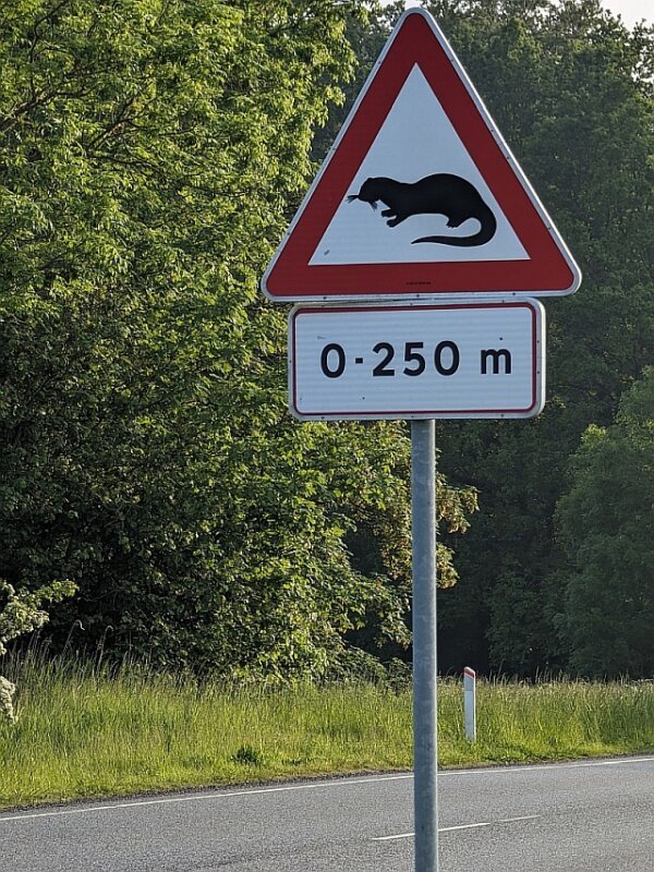 Kelio ženklas, nurodantis, kad per kelią eina ūdros