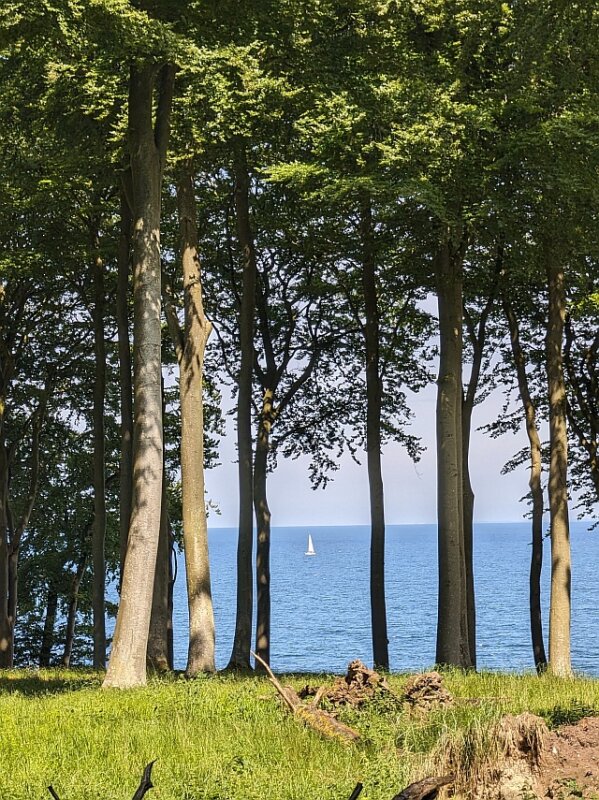 Dviračiu per Daniją. Æbelø
