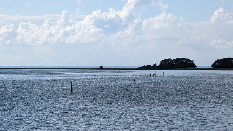 Dviračiu per Daniją. Kelias į Obuolių salą