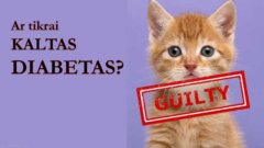 Seminaras "Ar tikrai kaltas diabetas"