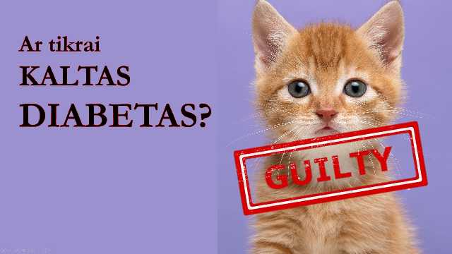 Seminaras "Ar tikrai kaltas diabetas"
