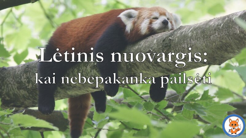 Lėtinis nuovargis: kai nabepakanka pailsėti