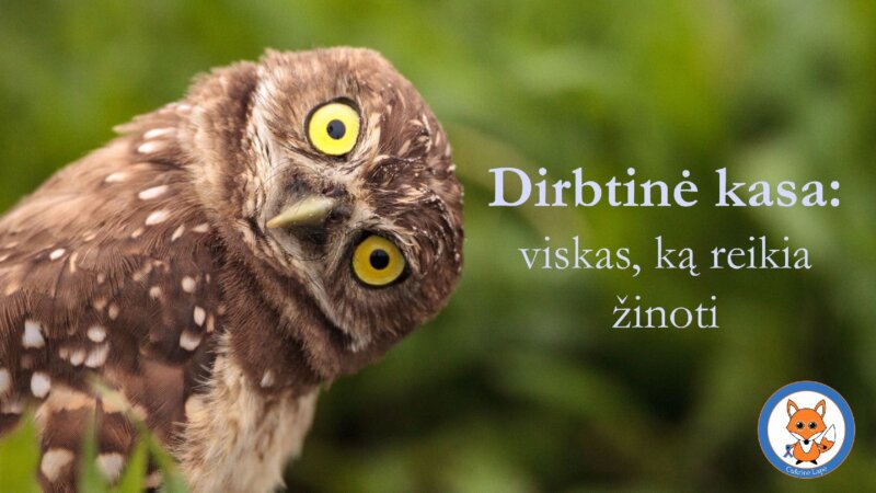 Dirbtinė kasa: viskas, ką reikia žinoti